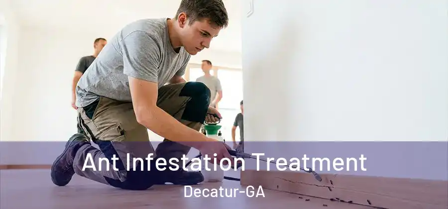 Ant Infestation Treatment Decatur-GA