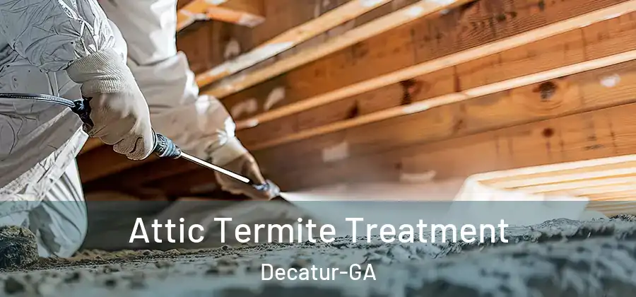 Attic Termite Treatment Decatur-GA