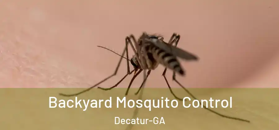 Backyard Mosquito Control Decatur-GA