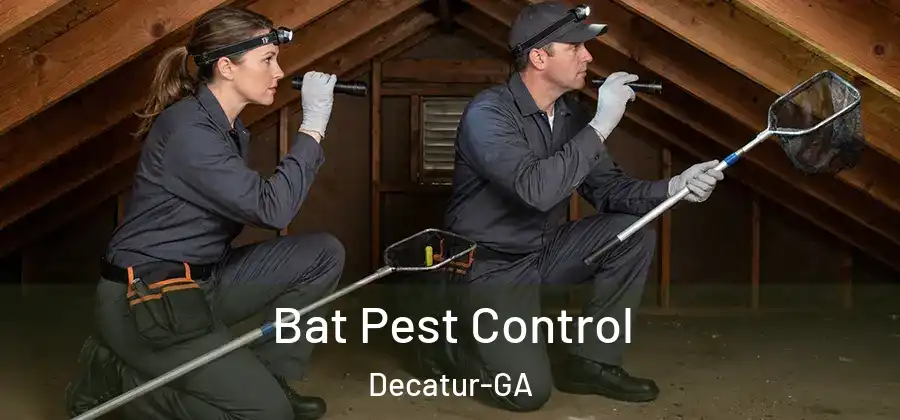 Bat Pest Control Decatur-GA