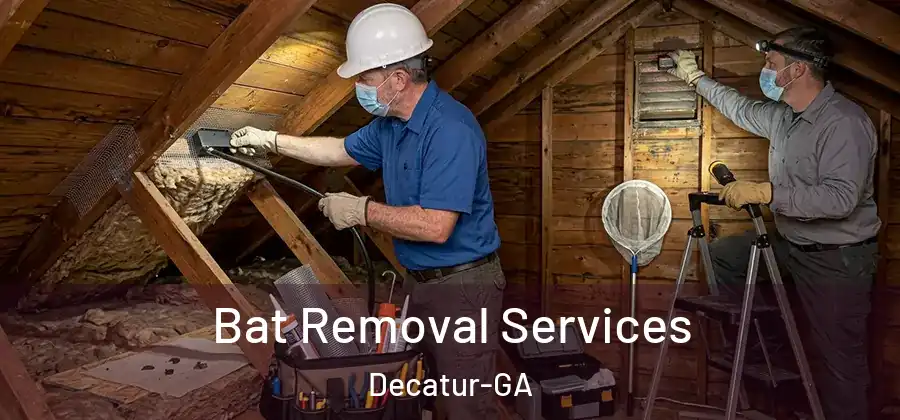 Bat Removal Services Decatur-GA