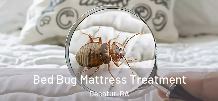 Bed Bug Mattress Treatment Decatur-GA