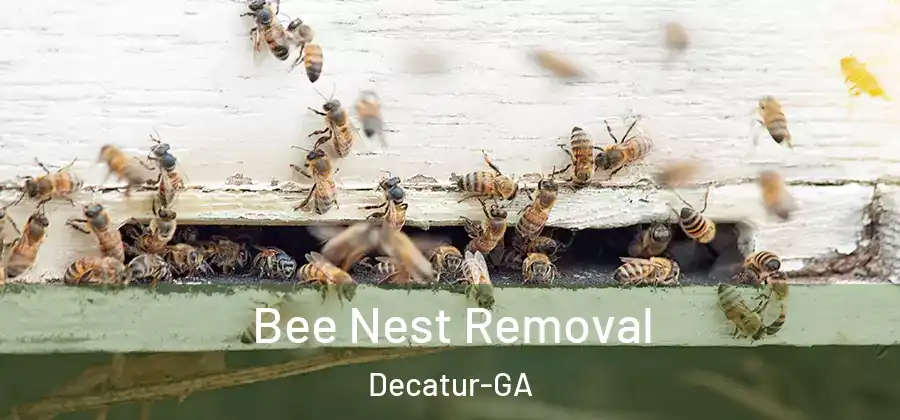  Bee Nest Removal Decatur-GA