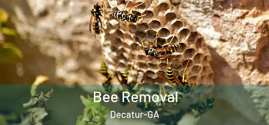Bee Removal Decatur-GA