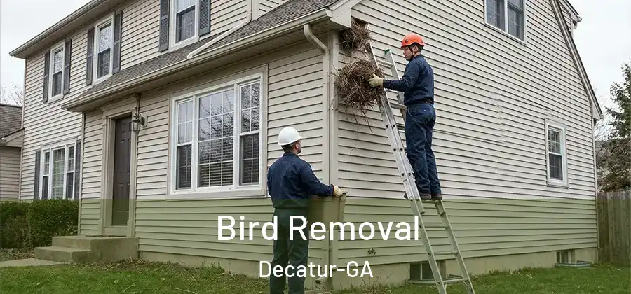 Bird Removal Decatur-GA