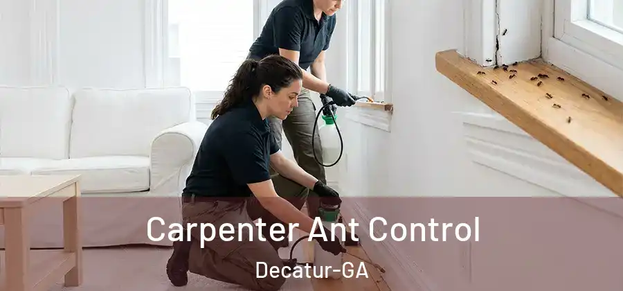 Carpenter Ant Control Decatur-GA