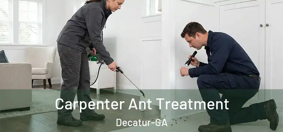 Carpenter Ant Treatment Decatur-GA