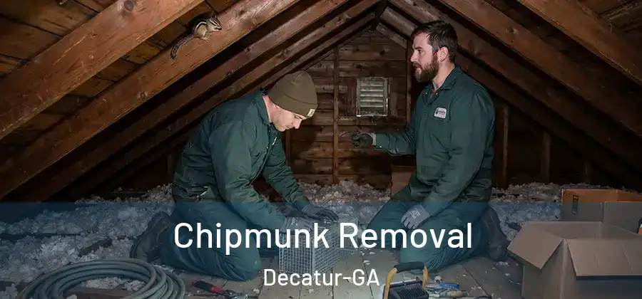 Chipmunk Removal Decatur-GA