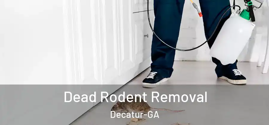 Dead Rodent Removal Decatur-GA
