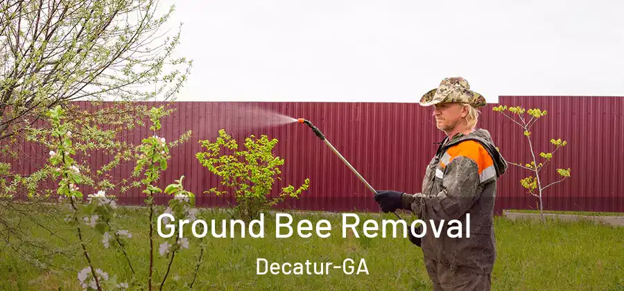 Ground Bee Removal Decatur-GA