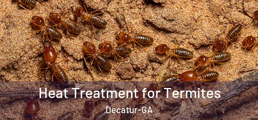 Heat Treatment for Termites Decatur-GA