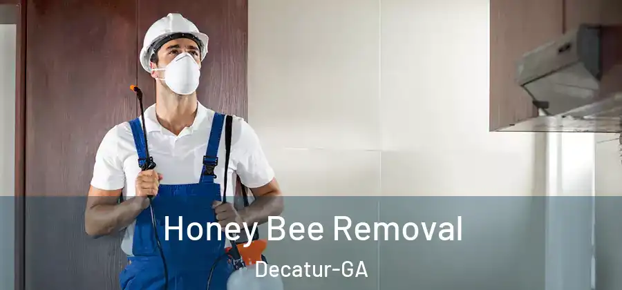Honey Bee Removal Decatur-GA