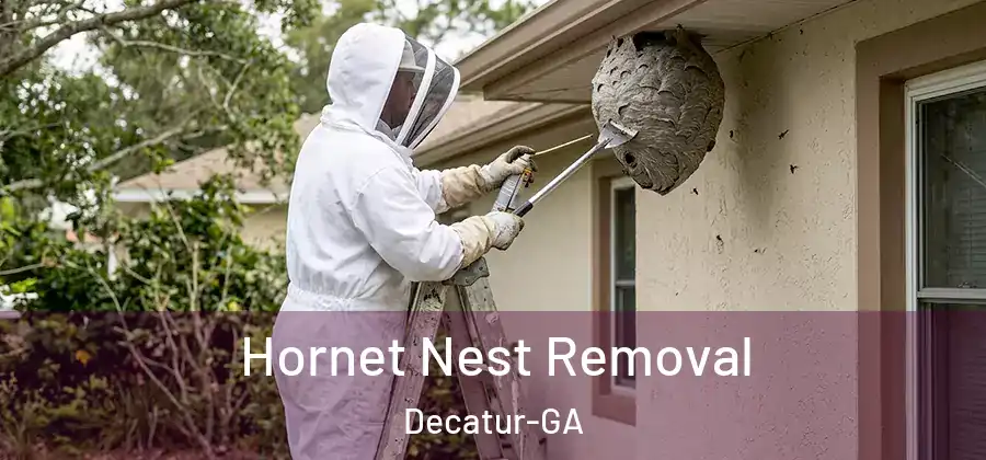 Hornet Nest Removal Decatur-GA