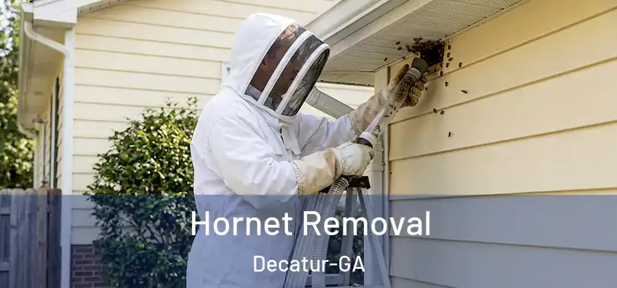 Hornet Removal Decatur-GA