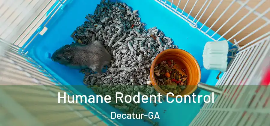 Humane Rodent Control Decatur-GA