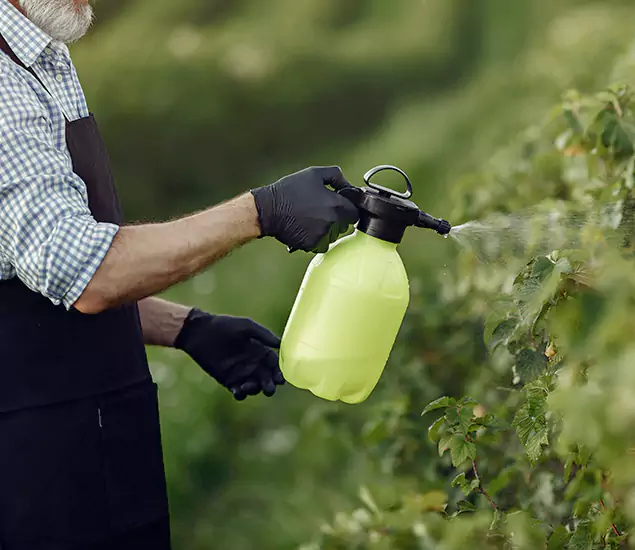 Your Proven Mosquito Treatment Company in Decatur, GA