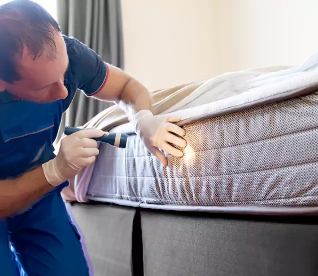 Trusted Bed Bug Cost Experts in Decatur, GA