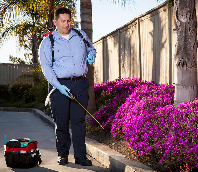 About Our Eco Safe Pest Control Experts in Decatur, GA