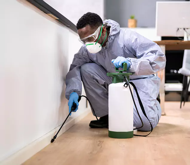 Leading Industrial Pest Control Experts Serving Decatur, GA