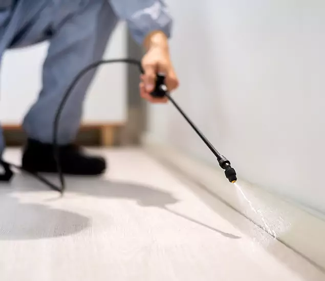 About Our Liquid Termite Treatment Experts in Decatur, GA