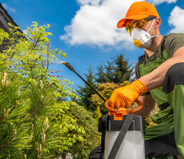 Your Mosquito Repellent Barrier Service in Decatur, GA
