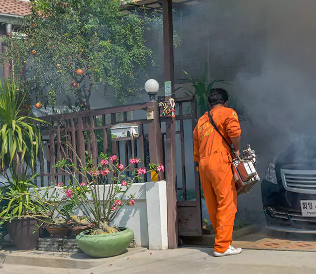 Your Proven Mosquito Fogging Company in Decatur, GA