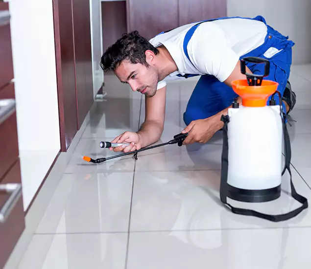 Reliable Professional Mouse Removal: Your Best Mouse Control Company in Decatur, GA