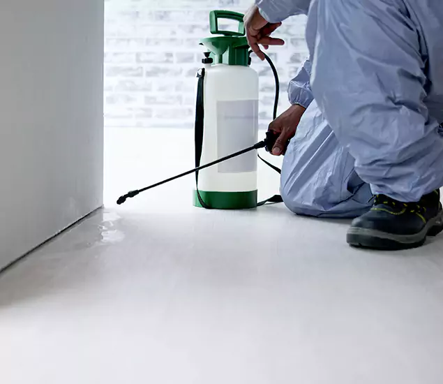 Affordable Pest Control Experts in Decatur, GA