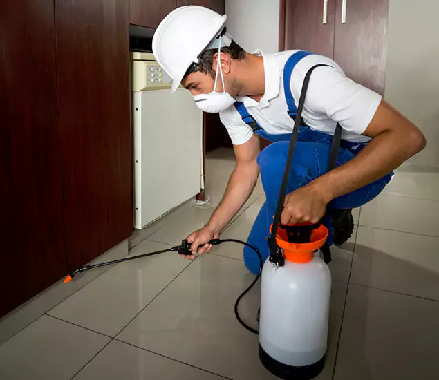 Advanced Termite Pre Treatment Experts in Decatur, GA