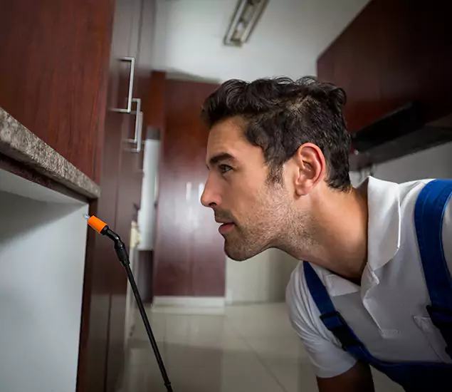 Expert Rodent in Attic Removal: Your Proven Pest Specialists in Decatur, GA