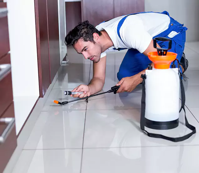 Advanced Slab Termite Treatment Experts You Can Trust&nbsp;in Decatur, GA