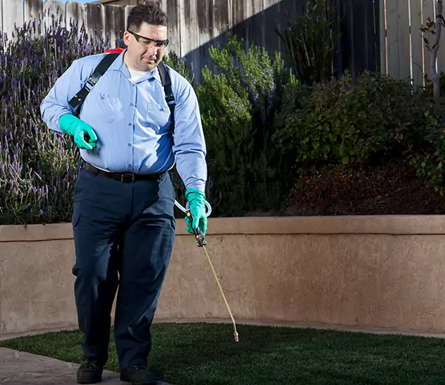 Reliable Termite Barrier Treatment Experts in Decatur, GA