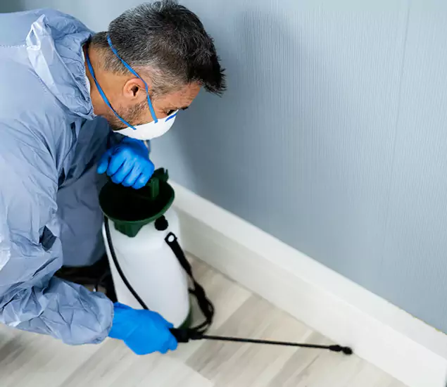 Reliable Termite Cost Experts in Decatur, GA