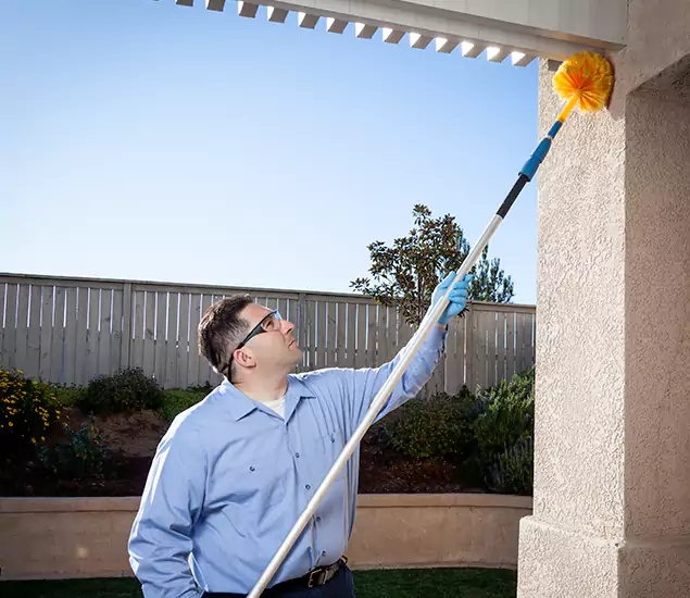 Your Trusted Wasp Removal Company in Decatur, GA