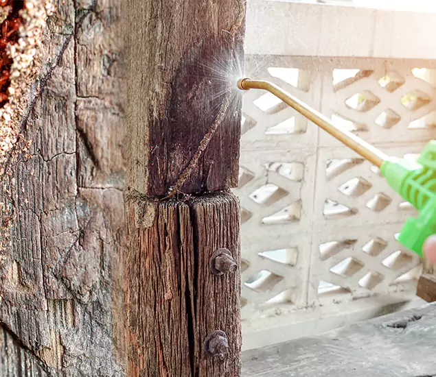 About Wood Termite Treatment Services in Decatur, GA