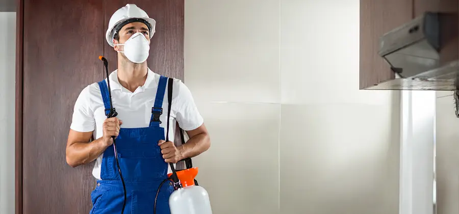 Per Room Bed Bug Cost in Decatur