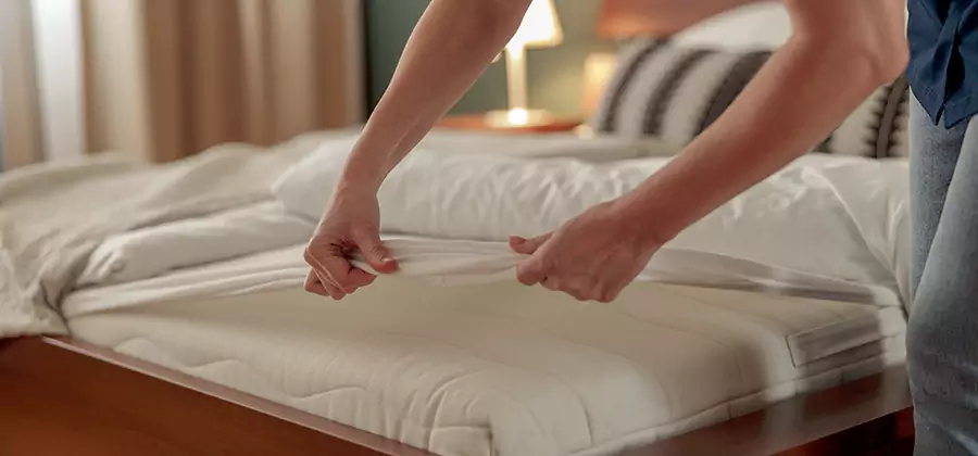 Bed Bug Extermination Services in Decatur