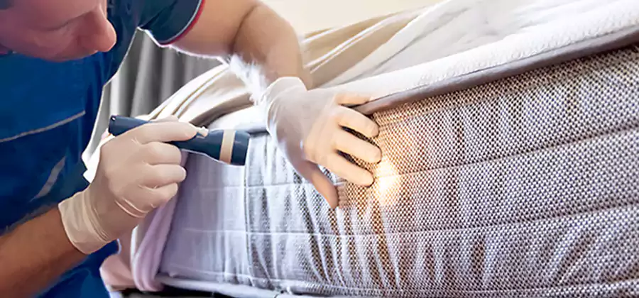 Residential Bed Bug Treatment Cost in Decatur