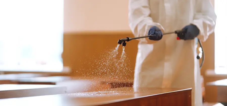 Residential Bed Bug Treatment Option in Decatur