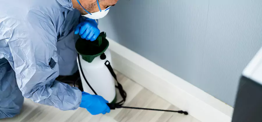 Fumigate Apartment Roaches in Decatur