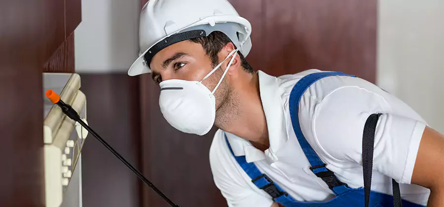 Injection Foam Treatment for Drywood Termites in Decatur
