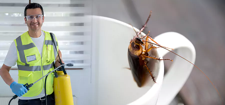 German Roach Infestation Treatment Decatur