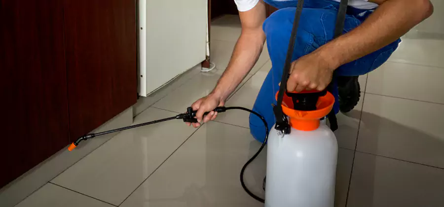 Indoor Mosquito Treatment in Decatur