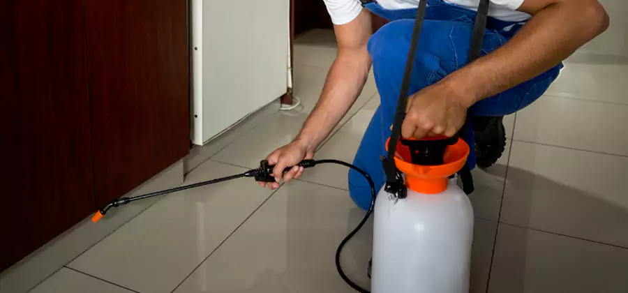Indoor Insect Killer Solutions in Decatur