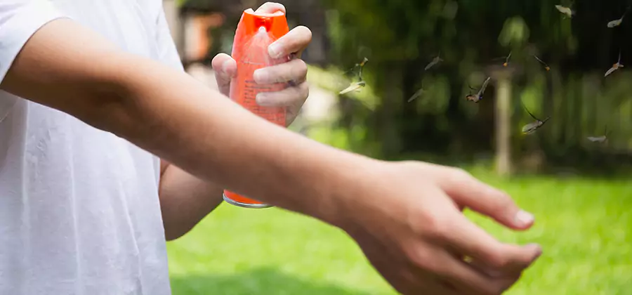 Mosquito and Tick Control Services in Decatur