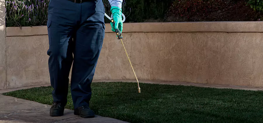 Soil Treatment for New Construction Termites in Decatur