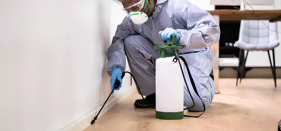 No Tent Termite Extermination With Electric Tool in Decatur