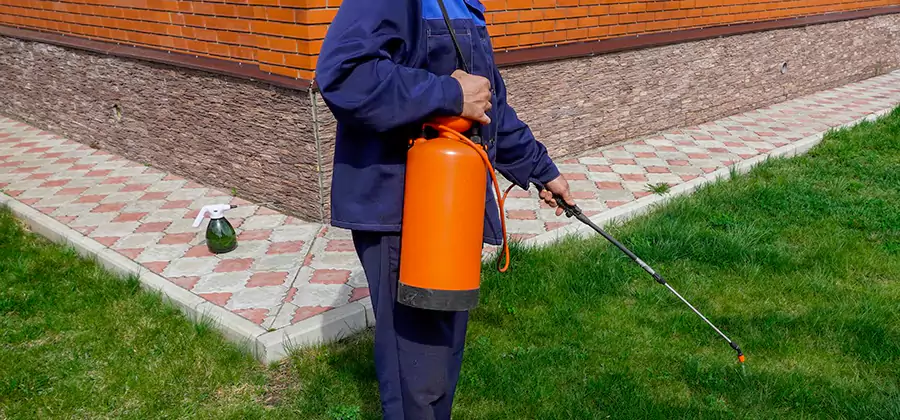 Non Toxic Termite Treatment in Decatur