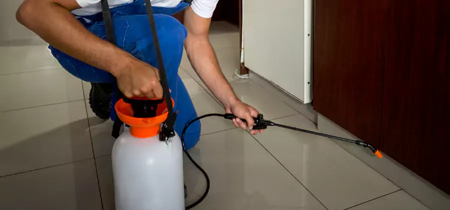 One Time Termite Control in Decatur