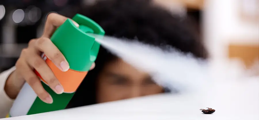 Child Safe Bed Bug Treatment in Decatur
